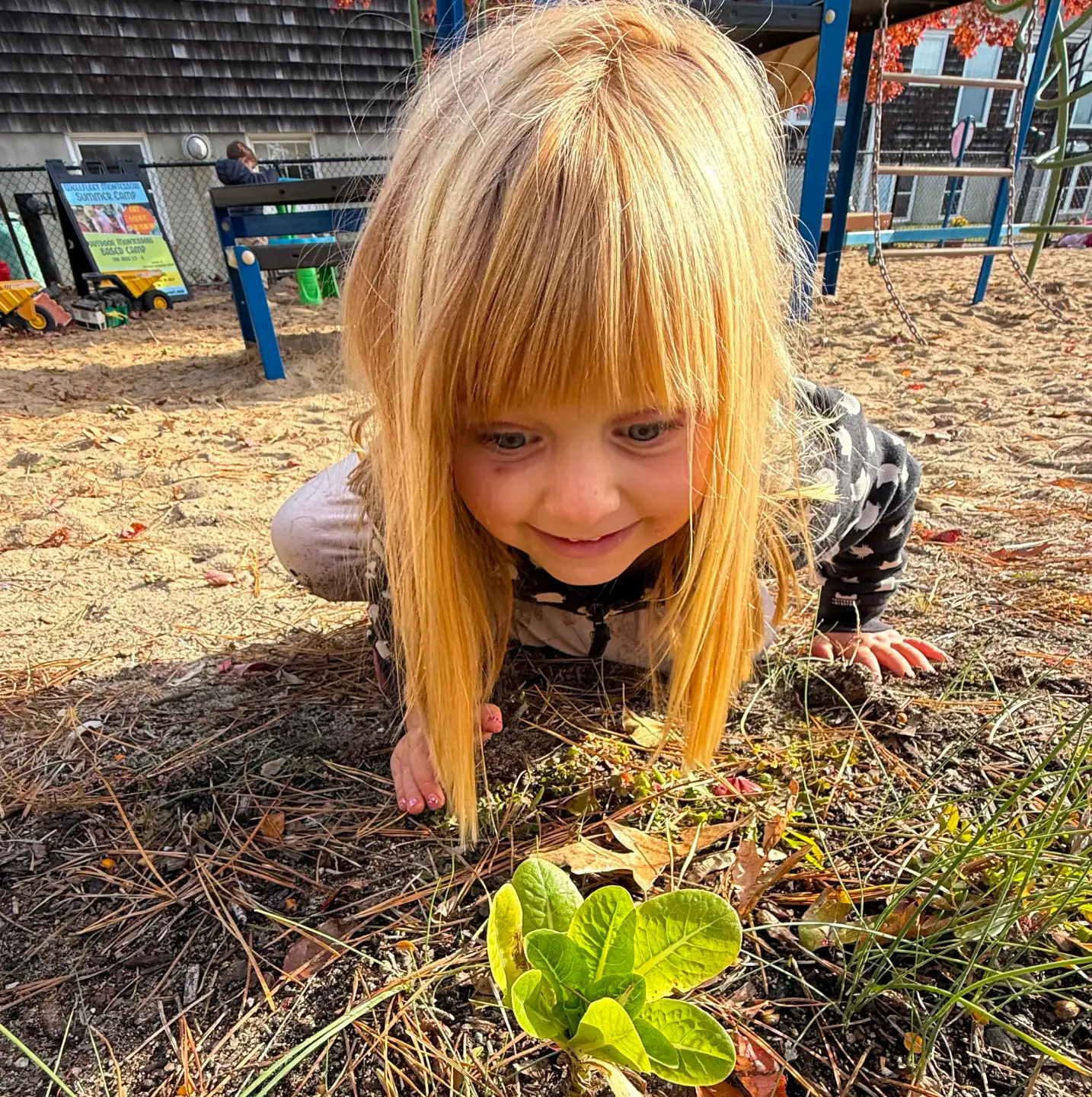 Montessori Preschool in Wellfleet, MA 1